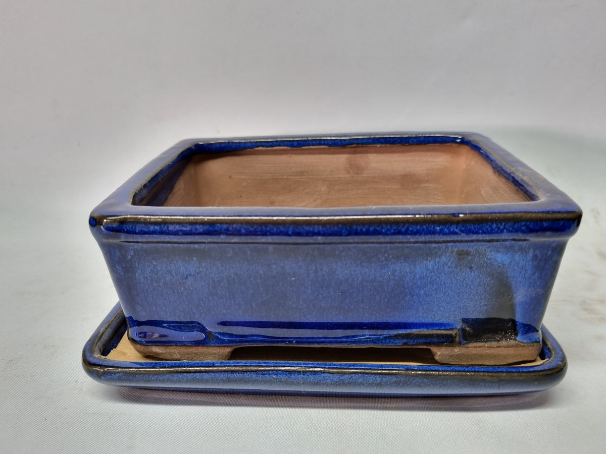 Bonsai-Schale Gr. 3 - Grün - oval - Modell O47