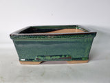 Bonsai schaal rechthoek 18cm groen