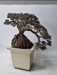 Metalen bonsai