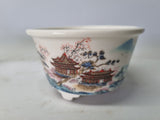 Bonsai schaal wit rond met tekening