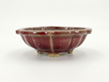 Bonsai pot bordeaux rood glazuurd