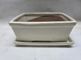 Bonsai schaal creme, rechthoek 26cm met onderschotel