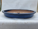 Lage bonsai schaal ovaal blauw geglazuurd
