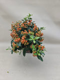 Bonsai Feuerdorn orange Beere Kaskade