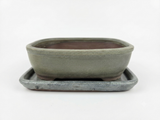 Bonsai schaal grijs, rechthoek met onderschotel 16cm