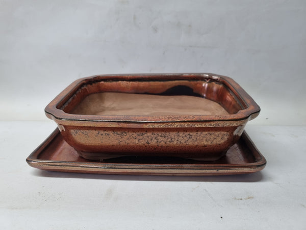 Bonsaischale rostfarben, 27cm rechteckig mit Untersetzer – Bonsai winkel