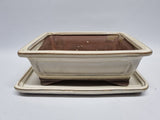 Bonsai schaal creme, rechthoek met onderschotel