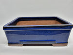 Bonsai schaal rechthoek 16cm blauw